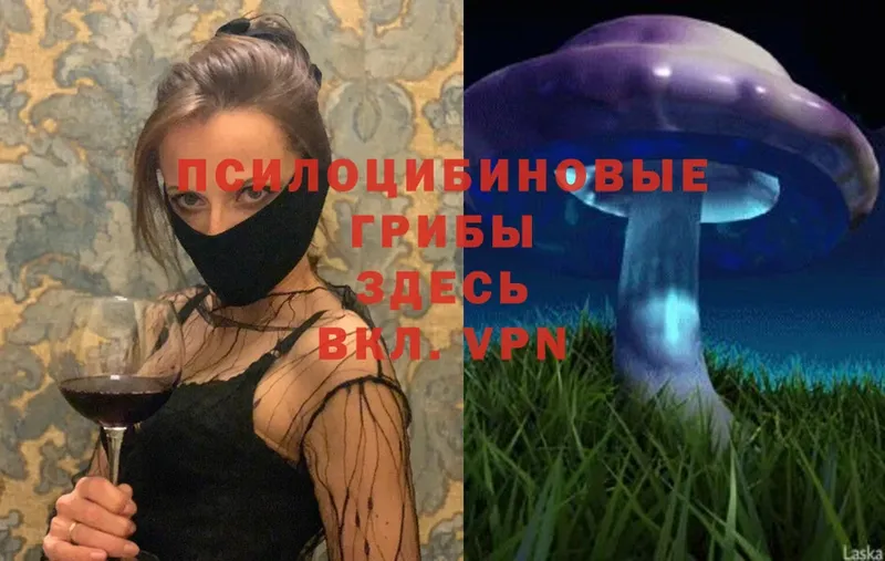 Галлюциногенные грибы Cubensis  Белый 